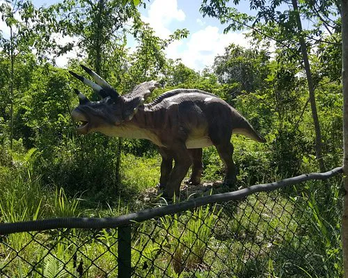 Bávaro Adventure Park - Atracciones