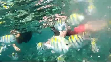 Party Boat - Punta Cana
