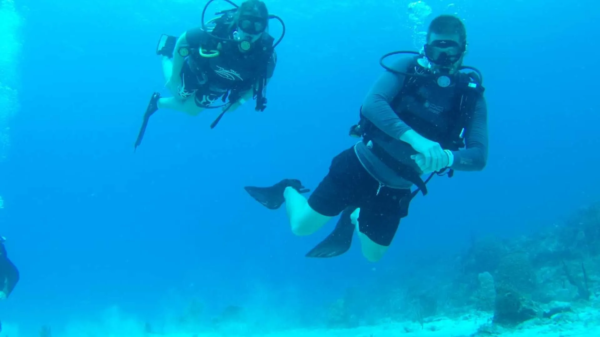 Buceo en Isla Catalina