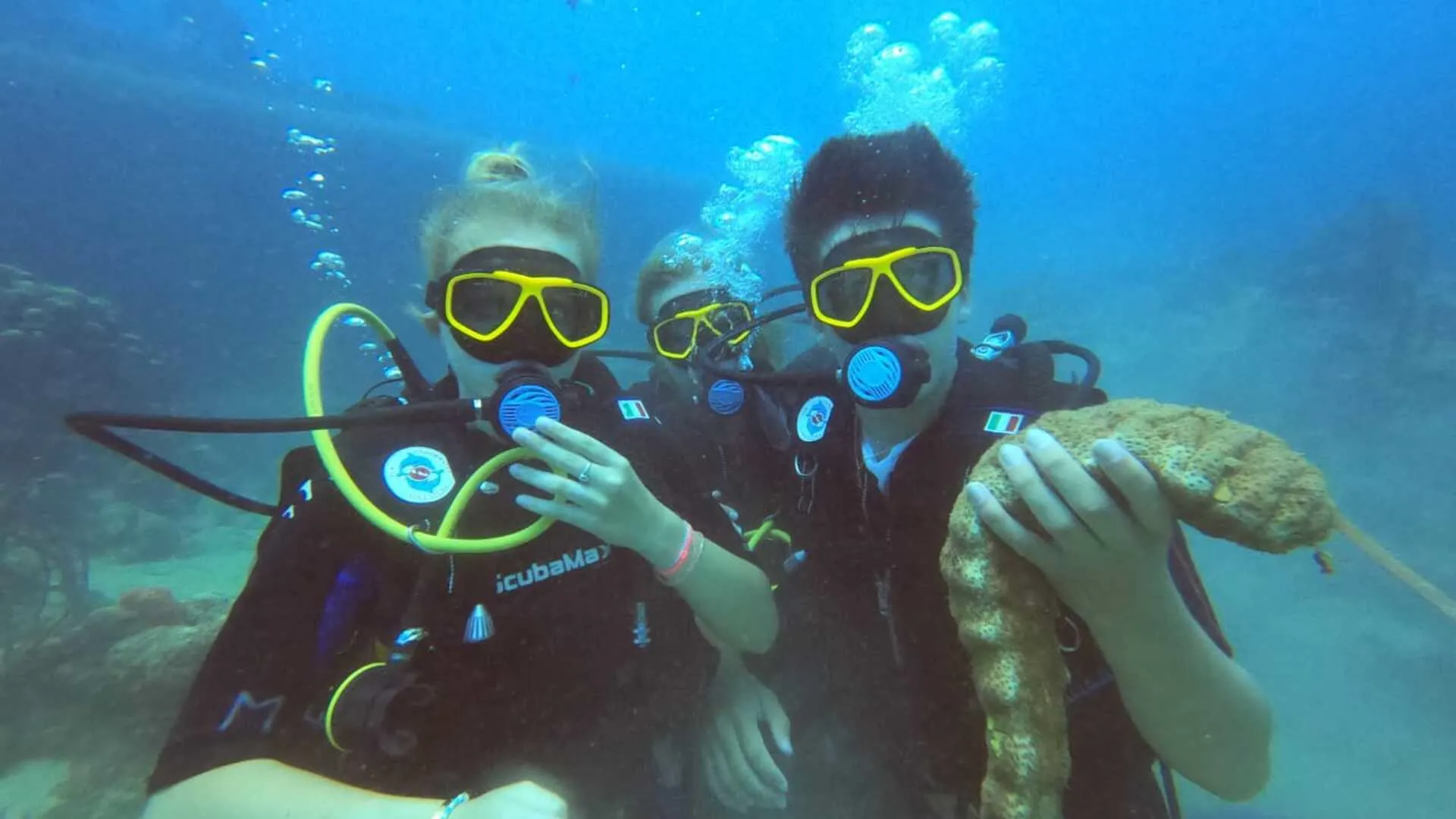 Buceo en Isla Catalina