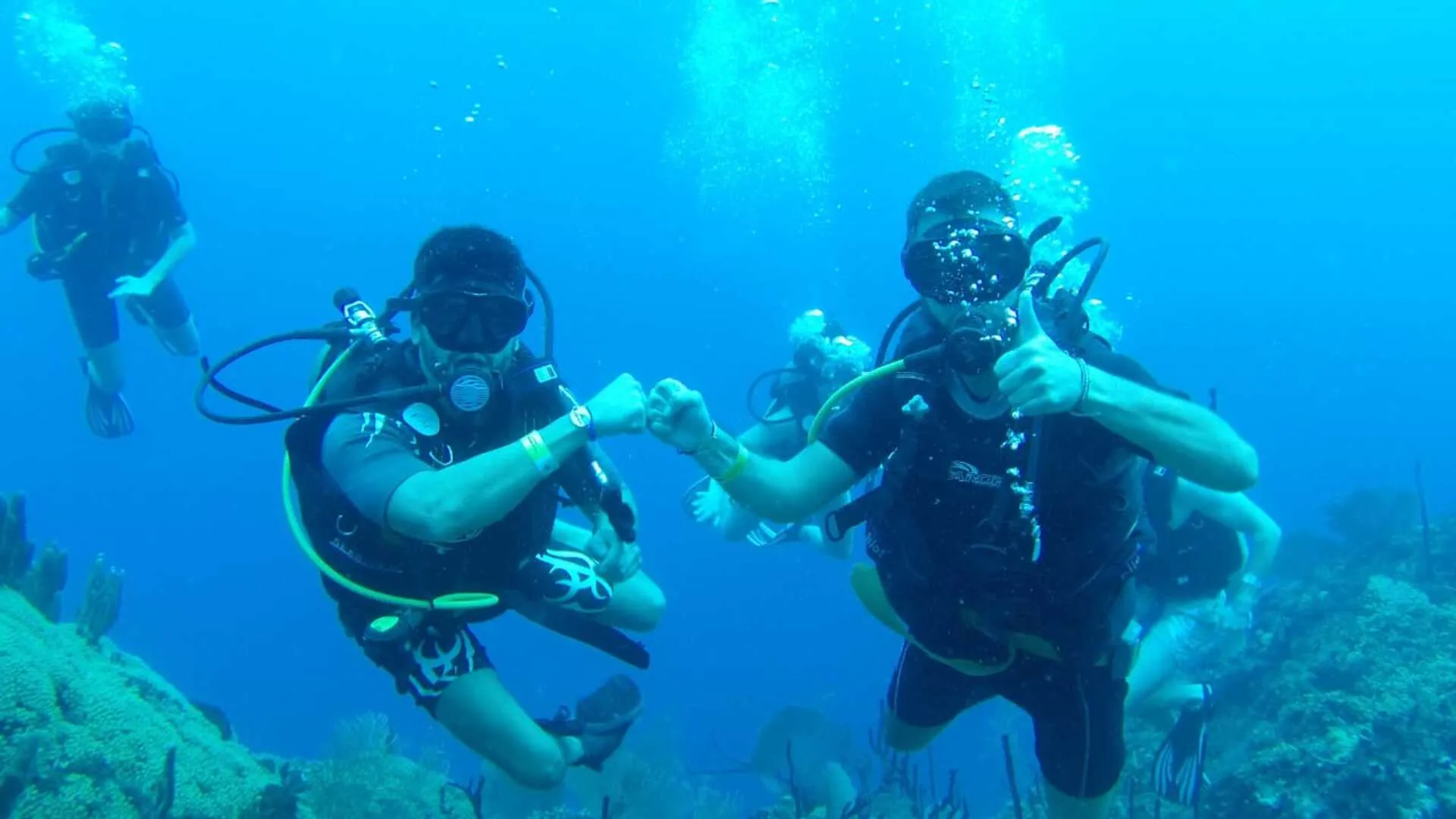 Buceo en Isla Catalina