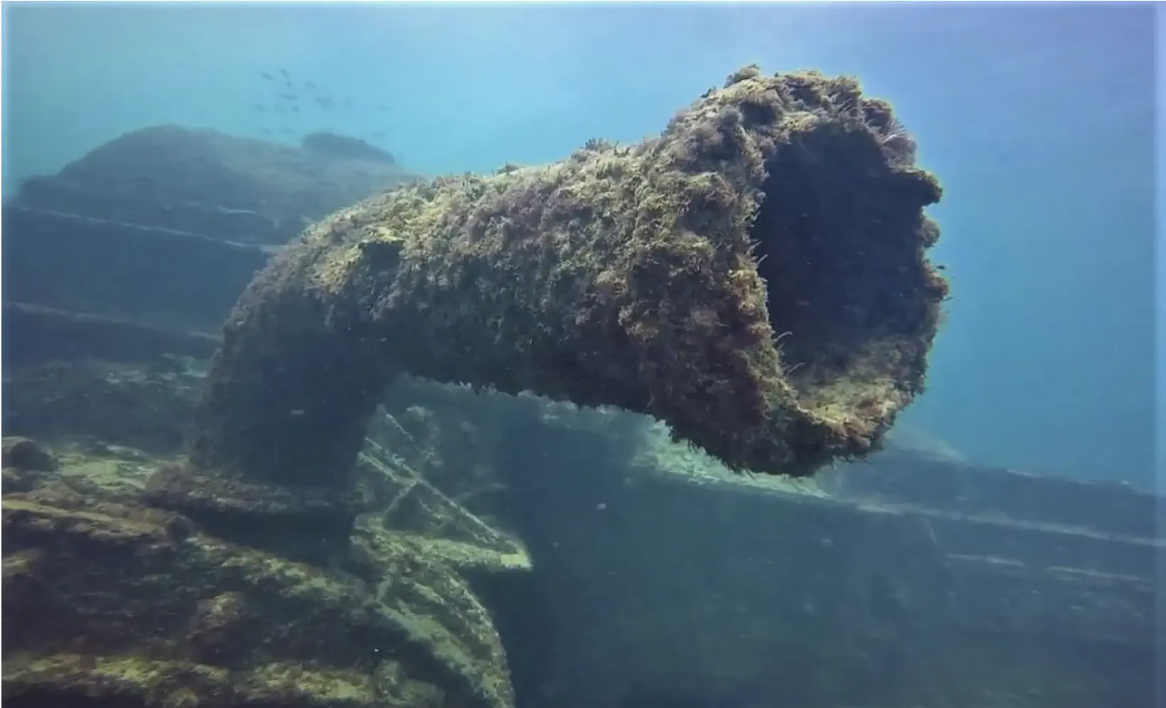 Buceo Local en Punta Cana