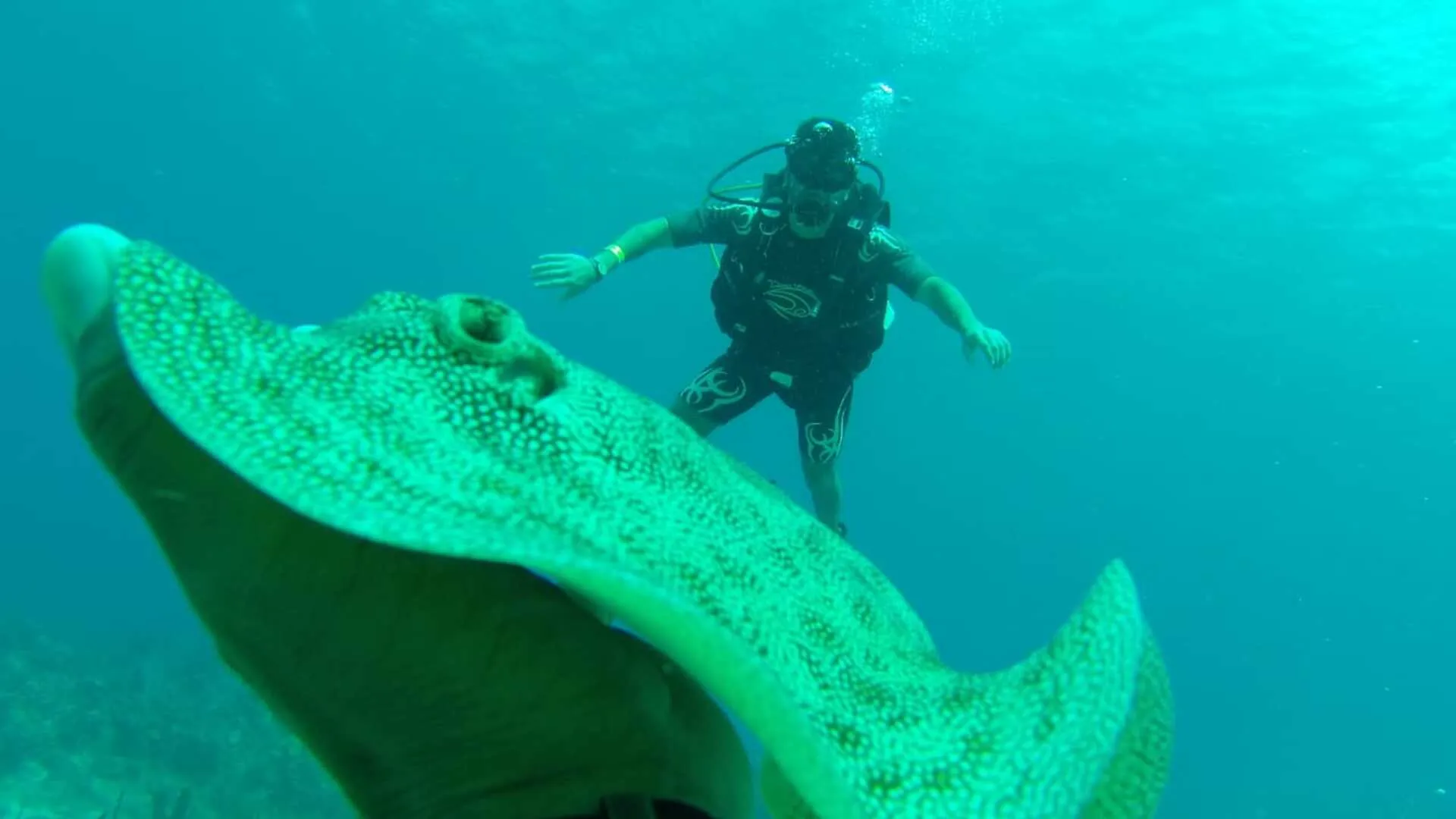 Buceo Local en Punta Cana