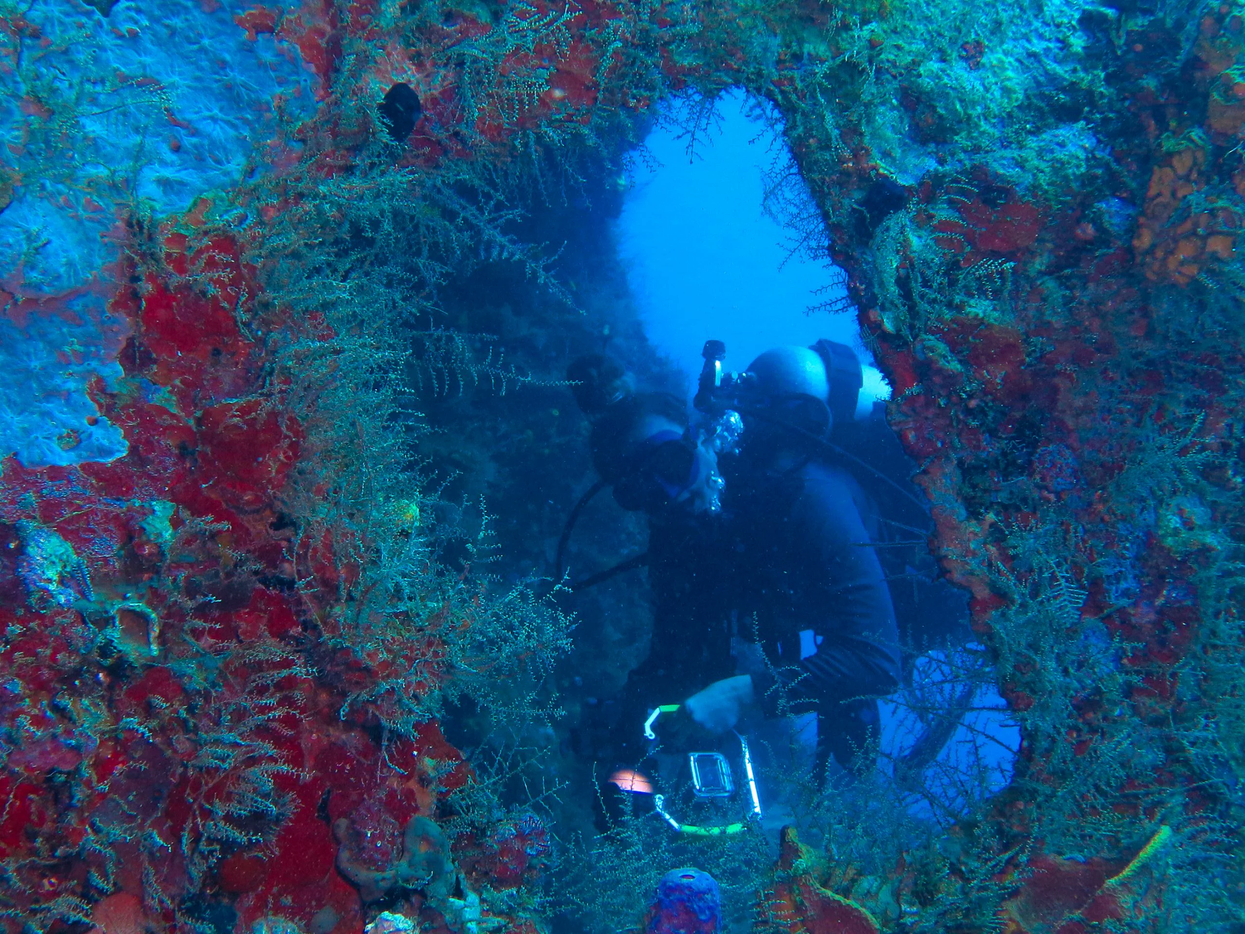 Buceo Local en Punta Cana