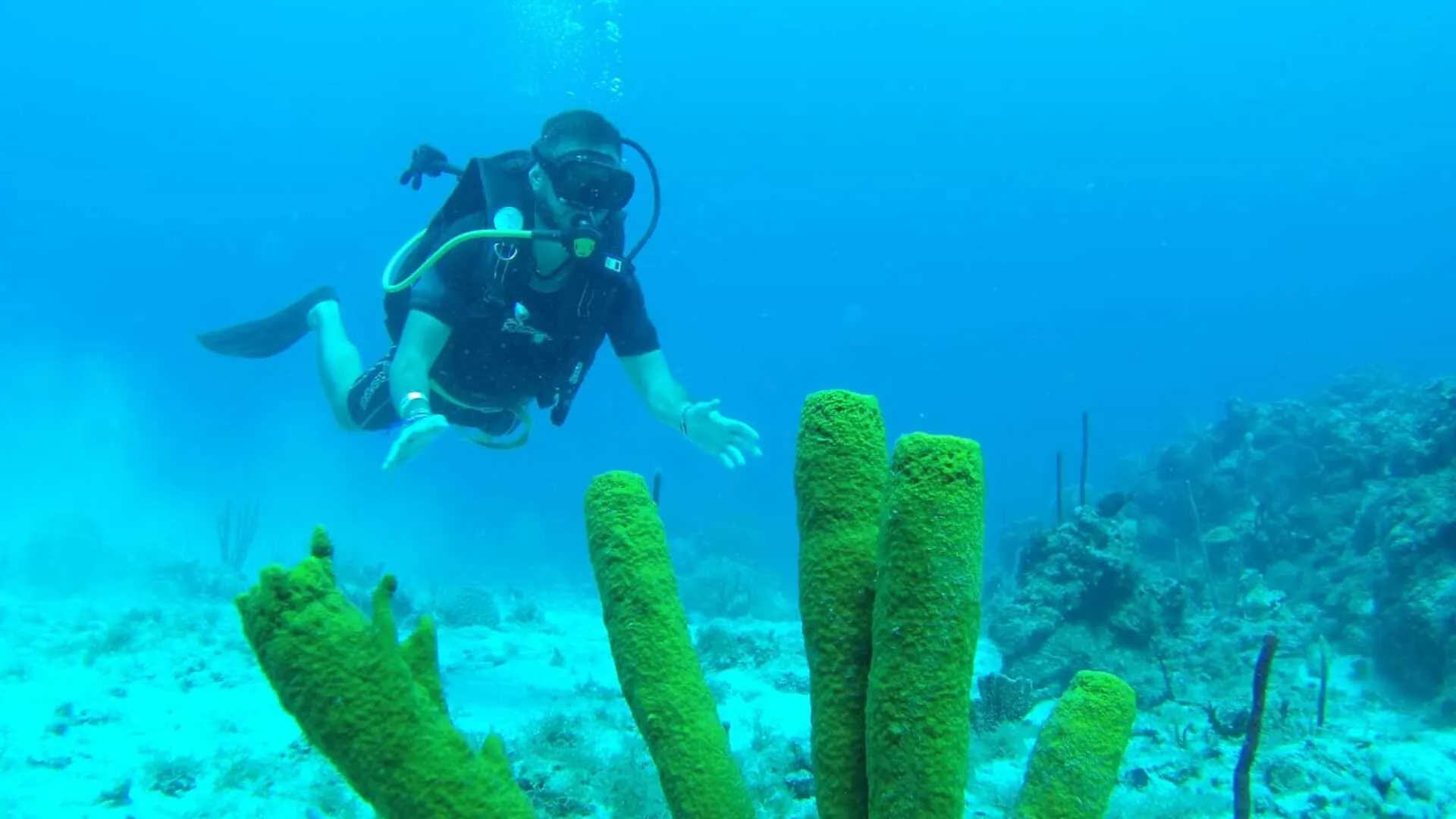 Buceo Local en Punta Cana