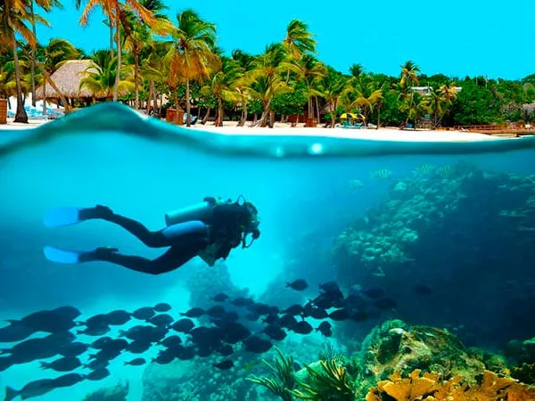 Buceo Local en Punta Cana