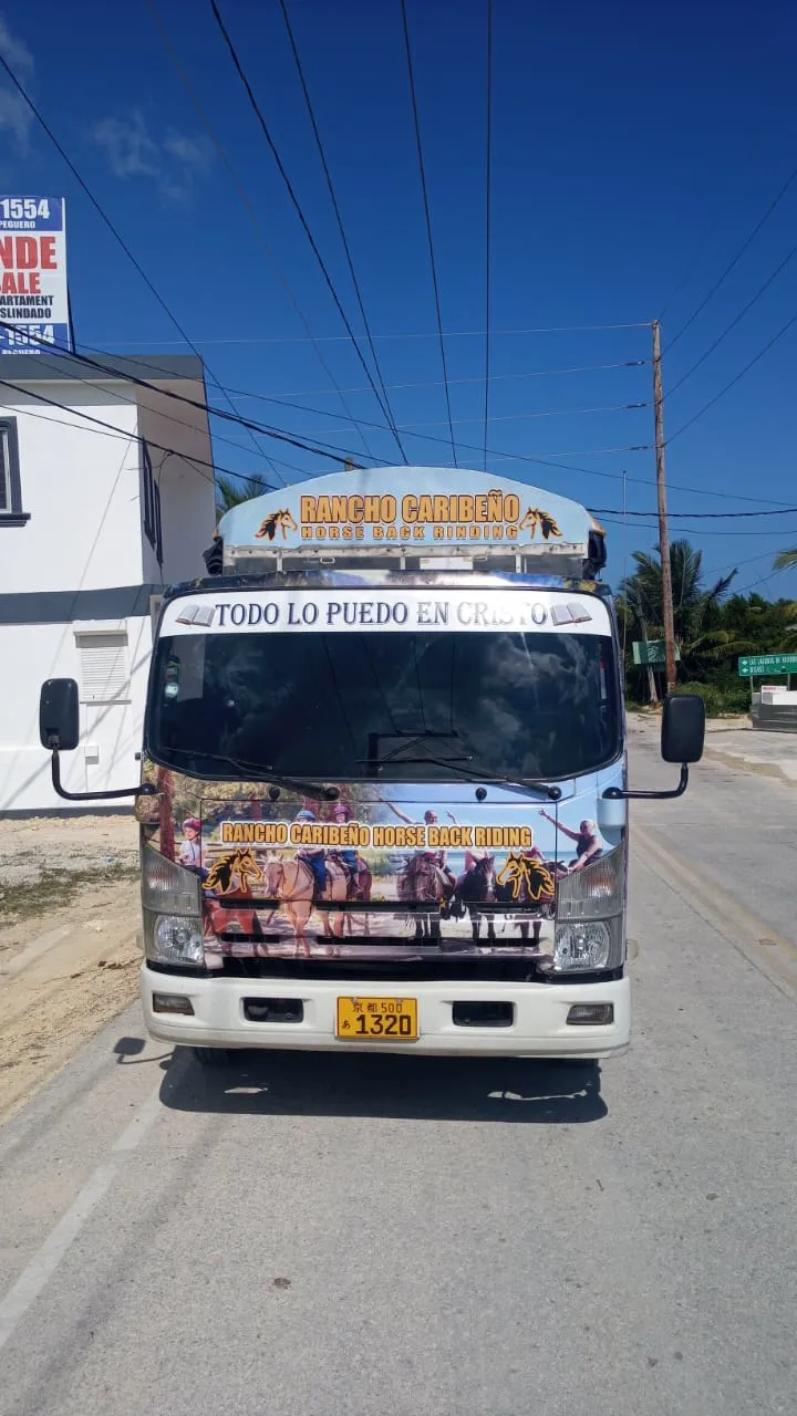 Paseo a Caballo en Punta Cana