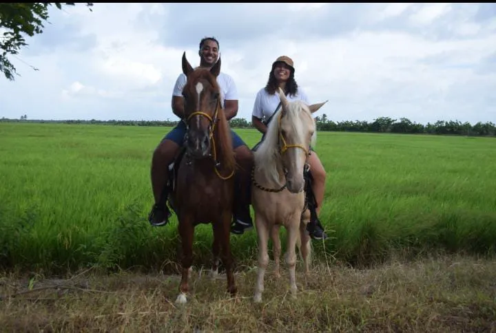 Paseo a Caballo en Punta Cana