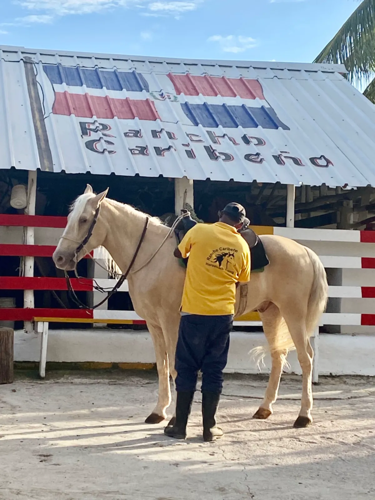 Paseo a Caballo en Punta Cana