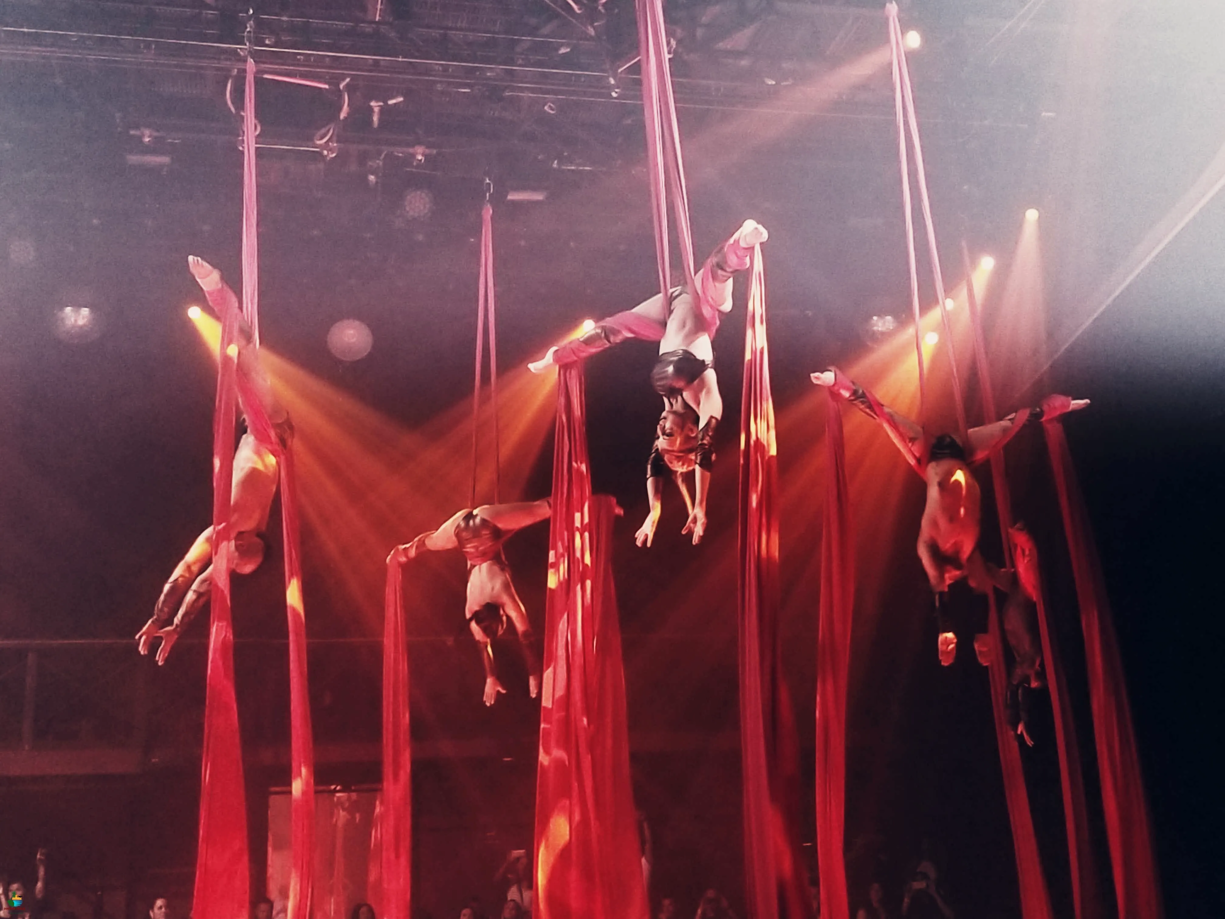 Imagen de Coco Bongo