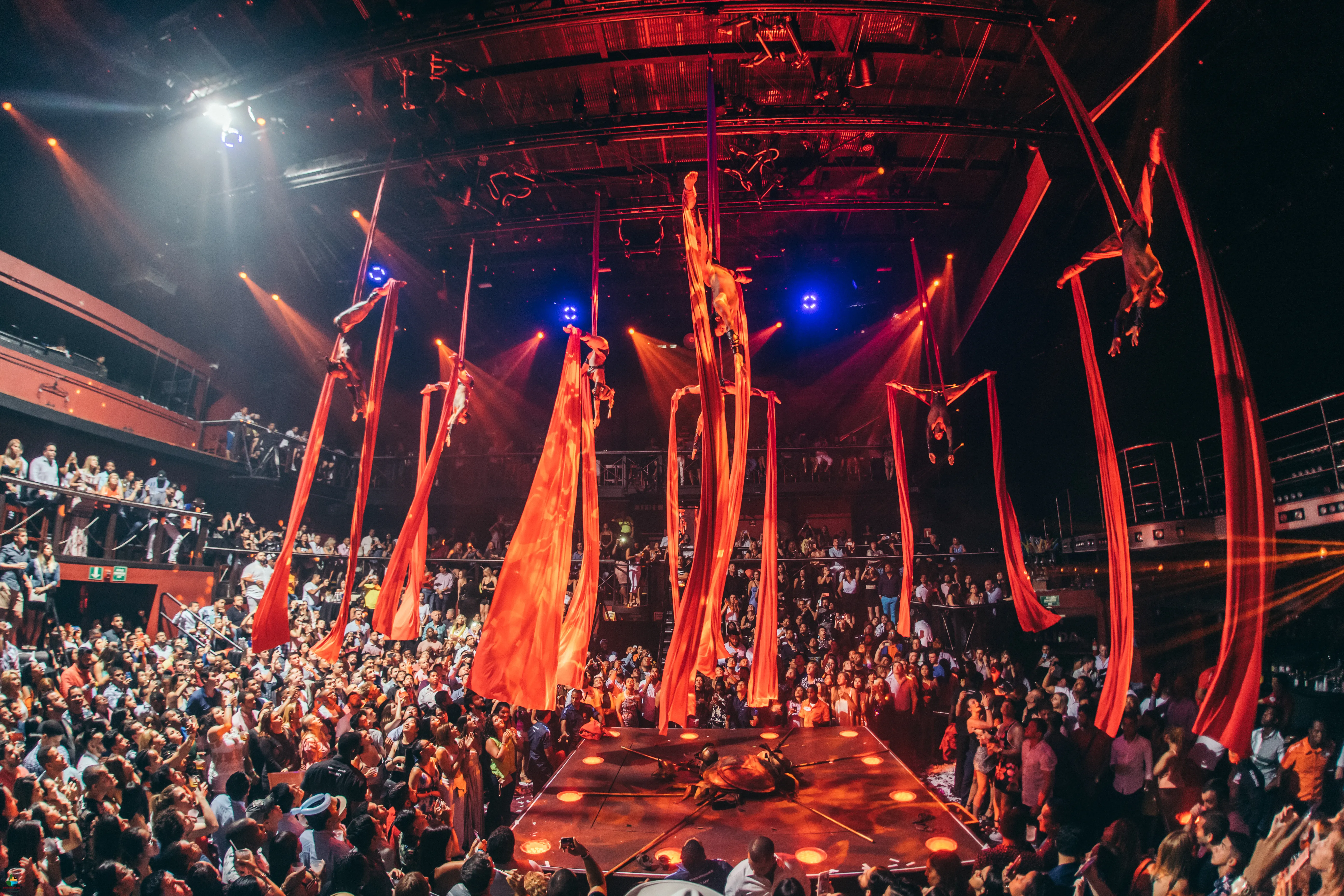 Imagen de Coco Bongo