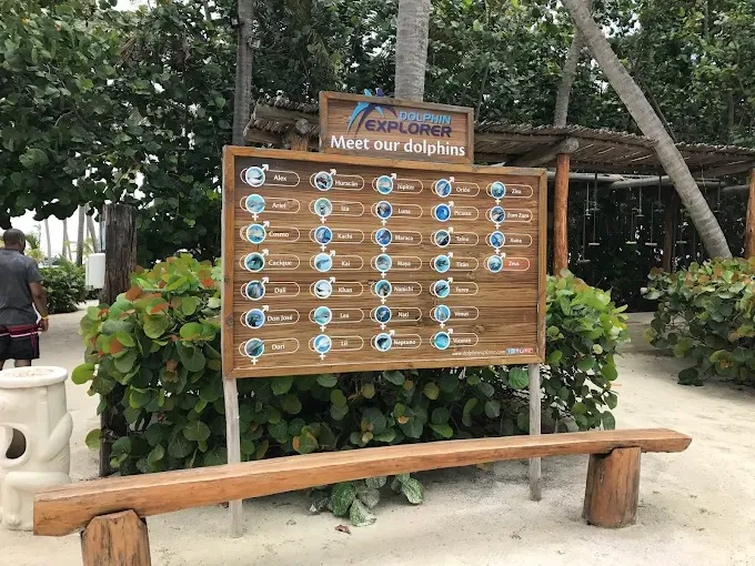 Imagen de excursión