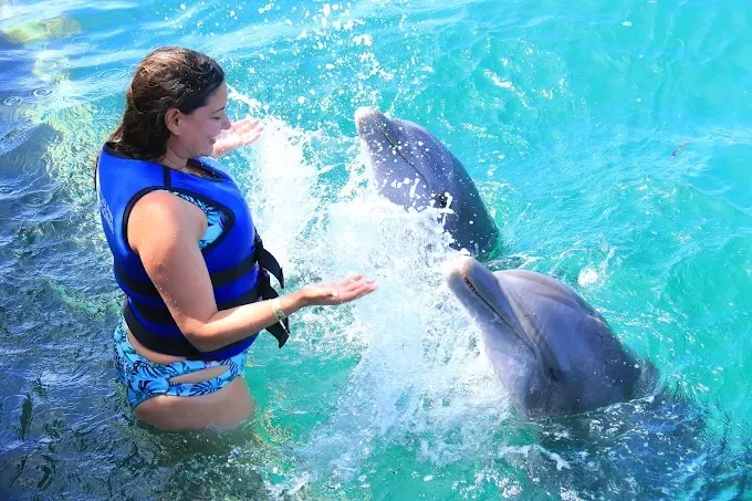 Imagen de excursión