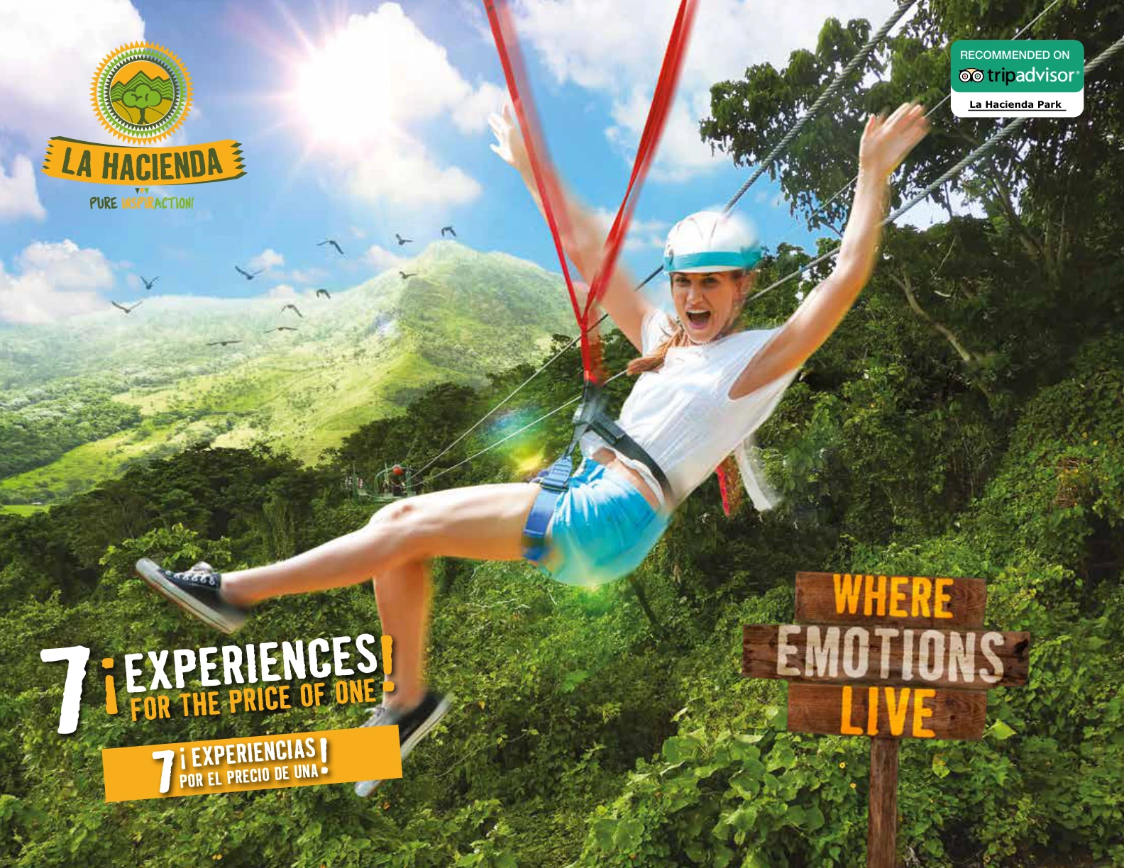 Imagen de excursión