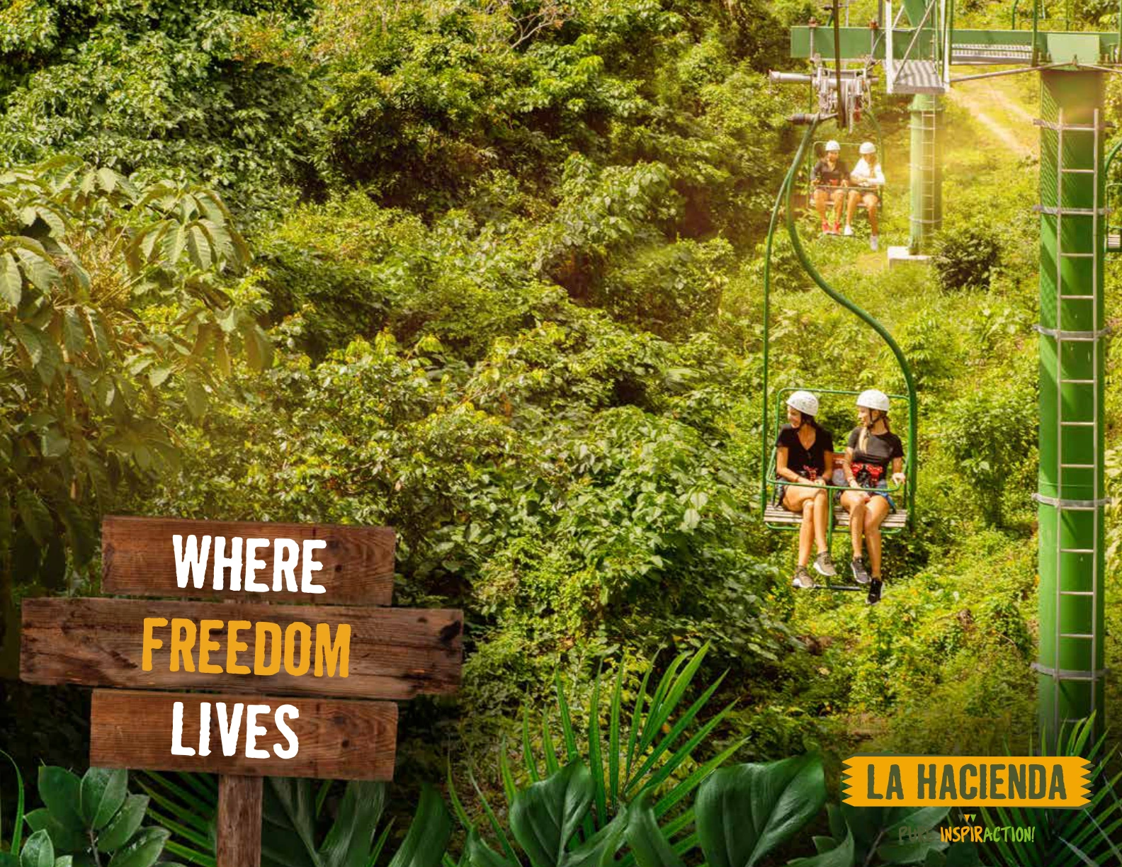 Imagen de excursión