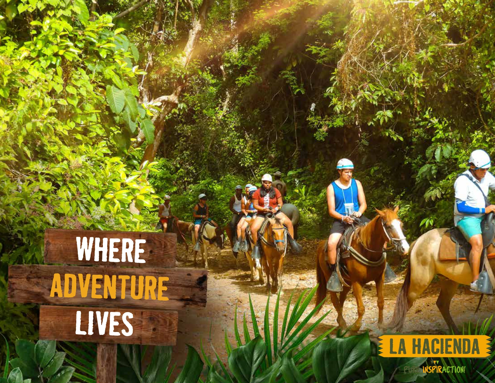 Imagen de excursión