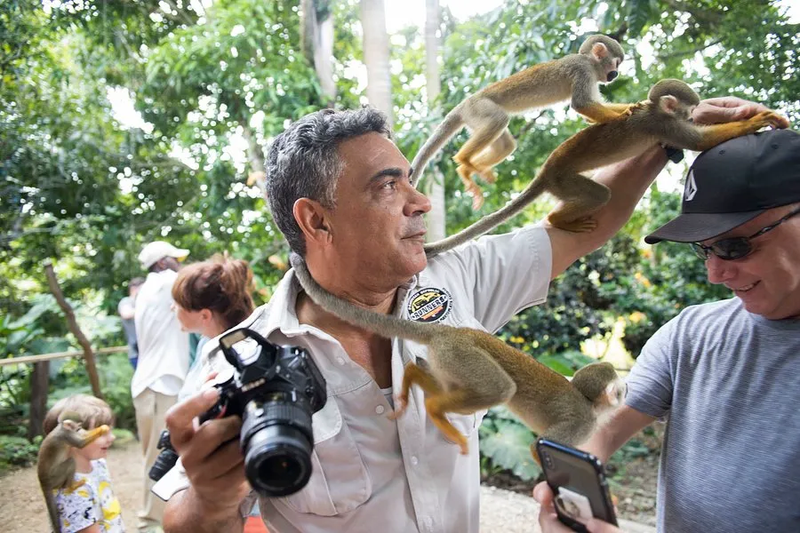 Imagen de excursión