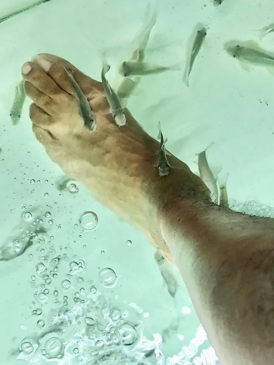 Imagen de Ocean Spa