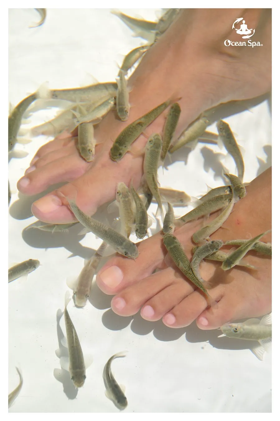 Imagen de Ocean Spa
