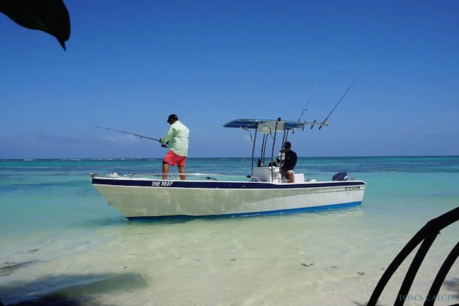 Pesca de Fondo - Aventura de pesca en aguas profundas