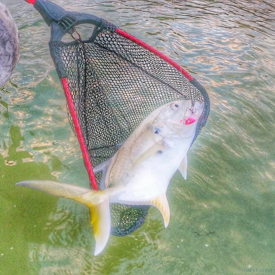 Pesca de Fondo - Aventura de pesca en aguas profundas