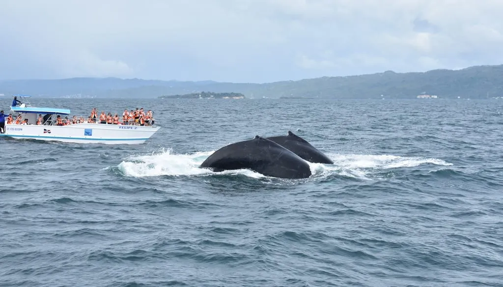 Imagen de excursión