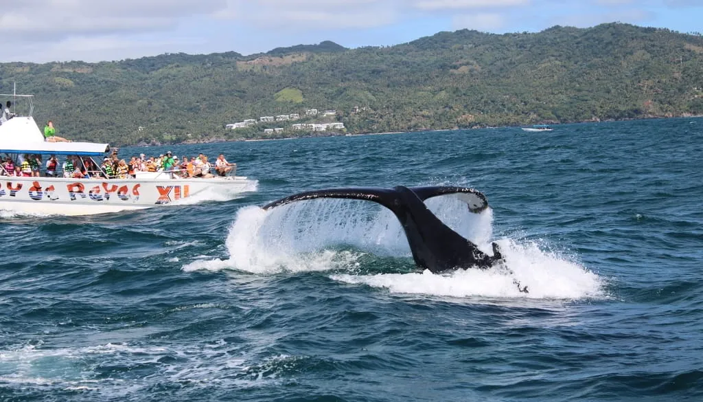 Imagen de excursión