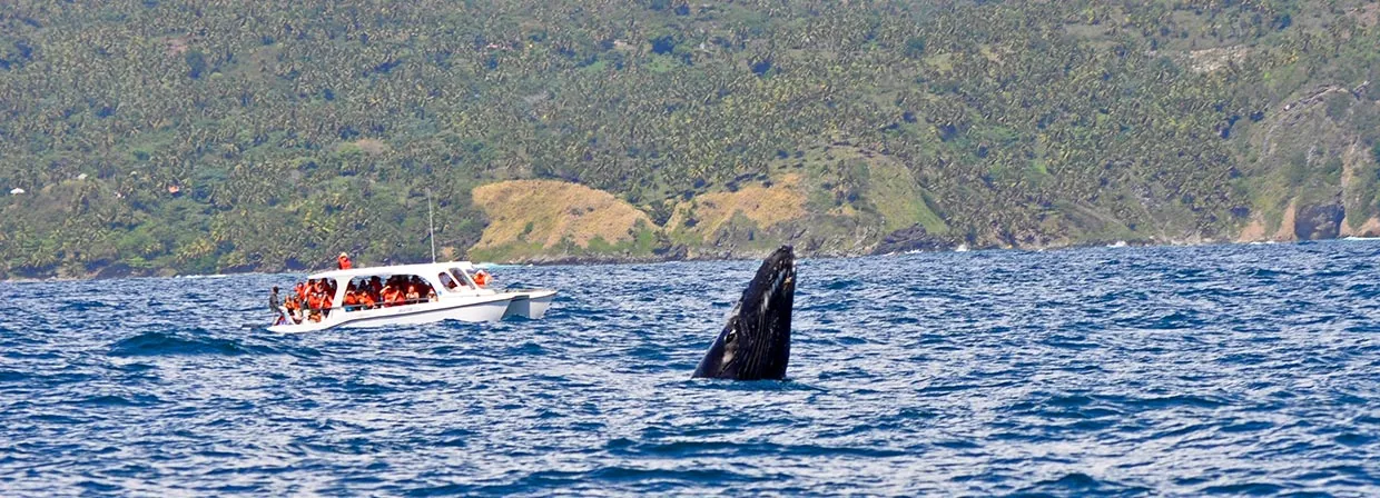Imagen de excursión
