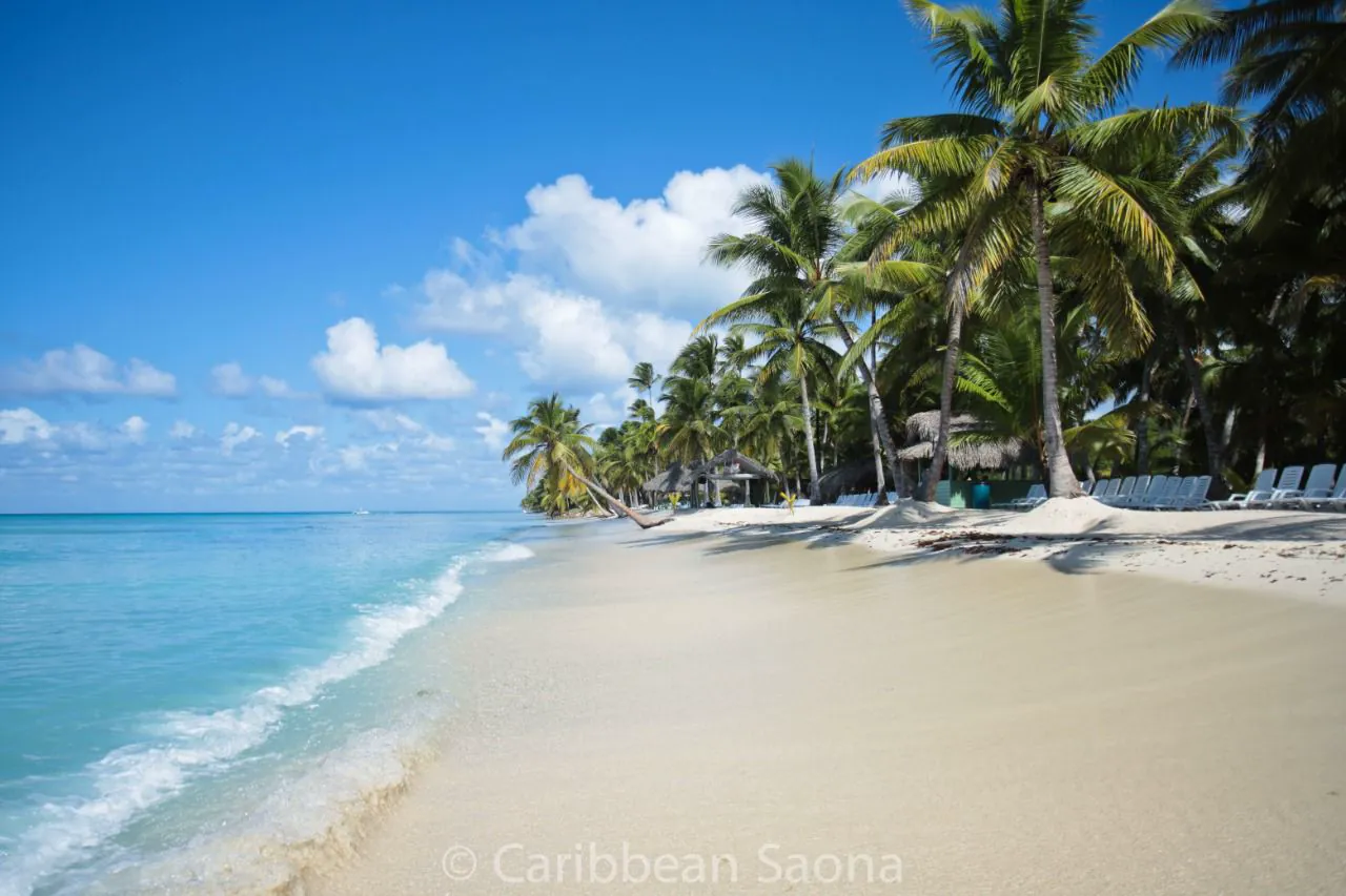 Saona VIP – imágenes de la excursión