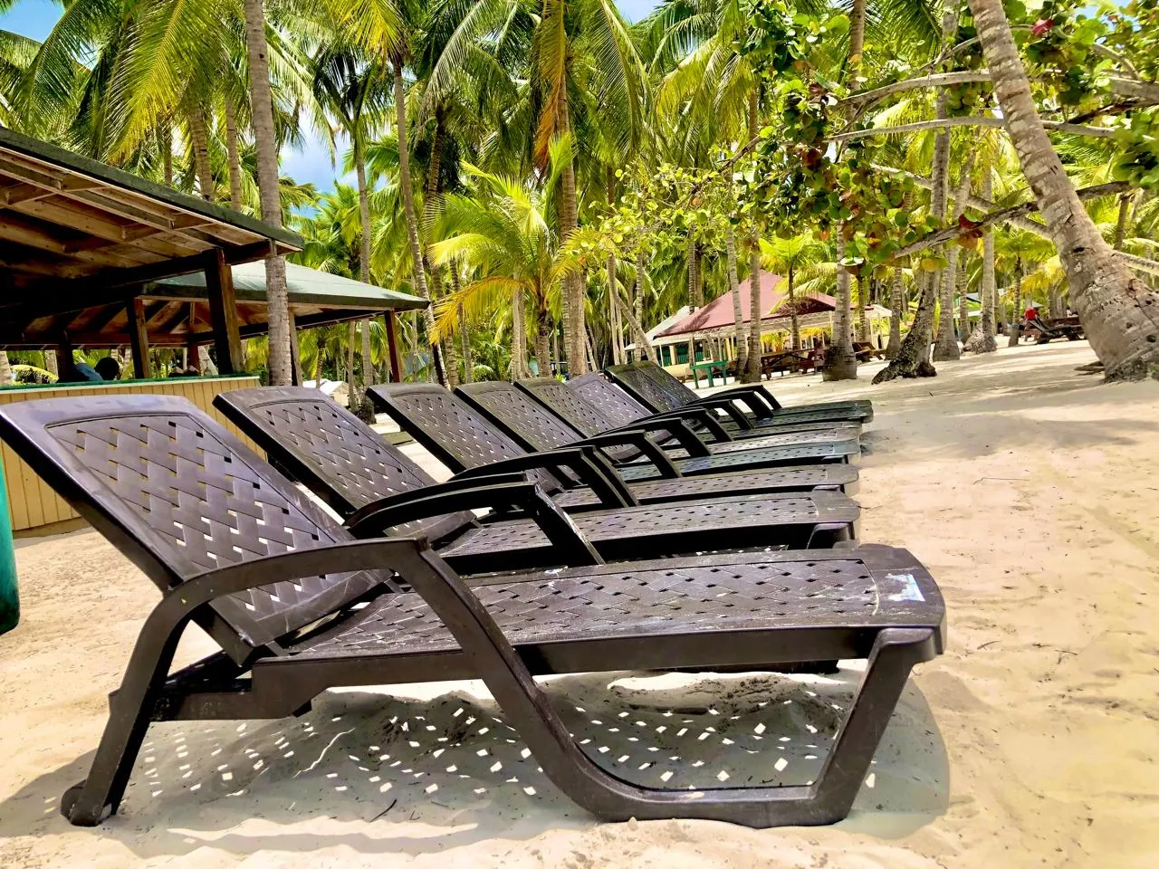 Isla Saona Privada - Excursión exclusiva sin multitudes
