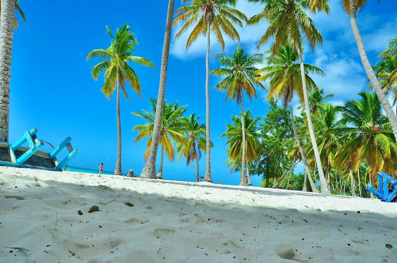 Isla Saona Privada - Excursión exclusiva sin multitudes
