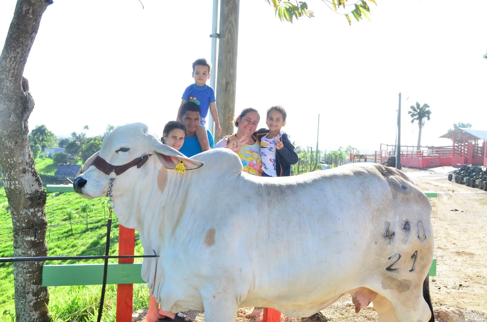 Rancho Tuko Adventure Park - tirolesas, caballos y río