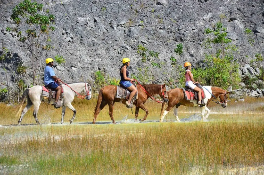 Bávaro Adventure Park - Paseo a Caballo VIP